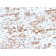 HSP60 (Heat Shock Protein 60) (Mitochondrial Marker)(CPTC-HSPD1-1), CF488A conjugate, 0.1mg/mL