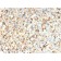 CD63 (Late Endosomes Marker) (rMX-49.129.5), CF488A conjugate, 0.1mg/mL