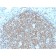 PAX5 / BSAP (Early B-Cell Marker) (PAX5/2595), CF488A conjugate, 0.1mg/mL