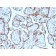 PAPP-A / Pappalysin-1 (Marker of Atherosclerosis and Aneuploid Fetus)(PAPPA/2717), CF488A conjugate, 0.1mg/mL