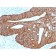 Cytokeratin 18 (KRT18) (KRT18/2819R), CF488A conjugate, 0.1mg/mL