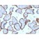 Biotium BNC882899-100, Alkaline Phosphatase (Placental) / PLAP (Germ Cell Tumor Marker) (ALPP/2899R), CF488A conjugate, 0.1mg/mL