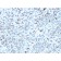 Biotium BNC882952-100, C1QA / Complement C1q A-Chain(C1QA/2952), CF488A conjugate, 0.1mg/mL