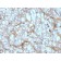 Biotium BNC882954-100, C1QA / Complement C1q A-Chain(C1QA/2954), CF488A conjugate, 0.1mg/mL