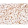 Biotium BNC882965-100, C1QB / Complement C1q B-Chain(C1QB/2965), CF488A conjugate, 0.1mg/mL