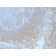 Biotium BNC882988-100, BCL10 (MALT-Lymphoma Marker) (BL10/2988R), CF488A conjugate, 0.1mg/mL