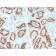 Biotium BNC882993-100, Renal Cell Carcinoma (Carbonic Anhydrase IX) (CA9/2993R), CF488A conjugate, 0.1mg/mL