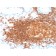 CD45RB (B-Cell Marker)(rPTPRC/1132), CF488A conjugate, 0.1mg/mL