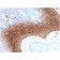 Involucrin (Squamous Cell Terminal Differentiation Marker)(rIVRN/827), CF488A conjugate, 0.1mg/mL