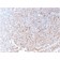 Biotium BNC883789-100, CD21 (Mature B-Cell & Follicular Dendritic Cell Marker)(rCR2/1952), CF488A conjugate, 0.1mg/mL