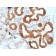 CD95(B-R18), CF594 conjugate, 0.1mg/mL