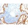Cytokeratin 8/18(KRT8/803 + KRT18/835), CF594 conjugate, 0.1mg/mL
