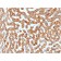Prohibitin (Mitochondrial Marker)(PHB/1881), CF594 conjugate, 0.1mg/mL