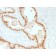 FOXA1 / HNF3A (rFOXA1/1515), CF594 conjugate, 0.1mg/mL