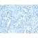 Cyclin A2 (S- & G2-phase Cyclin)(CCNA2/2333), CF594 conjugate, 0.1mg/mL