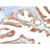 YBX1 / Y-box Binding Protein 1 / YB-1 (Tumor Biomarker)(rYBX1/2430), CF594 conjugate, 0.1mg/mL