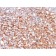 CD73 (Immuno-Oncology Target)(NT5E/2646), CF594 conjugate, 0.1mg/mL