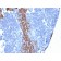 Cytokeratin 13 (Non-Keratinized Squamous Epithelial Marker)(KRT13/2213), CF594 conjugate, 0.1mg/mL