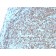 CD74 (B-Cell Marker)(CLIP/3127R), CF594 conjugate, 0.1mg/mL