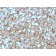 Spectrin beta III (SPTBN2)(SPTBN2/3142R), CF594 conjugate, 0.1mg/mL
