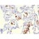 Napsin A (Lung Adenocarcinoma Marker)(NAPSA/3306), CF594 conjugate, 0.1mg/mL