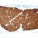 Chromogranin A(CHGA/413), Biotin conjugate, 0.1mg/mL