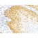p27 / KIP1(DCS-72.F6), Biotin conjugate, 0.1mg/mL
