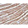 Cytochrome C(CTC05), Biotin conjugate, 0.1mg/mL