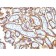 EGFR(GFR1195 + 31G7), Biotin conjugate, 0.1mg/mL
