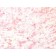 Tyrosinase-Related Protein-1 (TYRP-1) (Melanoma Marker) (TYRP1/1564R), Biotin conjugate, 0.1mg/mL