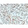 Histone H1 (Nuclear Marker) (HH1/1784R), Biotin conjugate, 0.1mg/mL