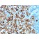 gp100 / Melanosome / PMEL17 / SILV (Melanoma Marker) (PMEL/1825R), Biotin conjugate, 0.1mg/mL
