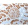 Biotium BNCB1892-100, CD10 (Membrane Metalloendopeptidase) (MME/1892), Biotin conjugate, 0.1mg/mL
