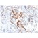 HCG-beta (Pregnancy & Choriocarcinoma Marker)(HCGb/1985R), Biotin conjugate, 0.1mg/mL