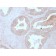 Biotium BNCB2342-500, Calcineurin B / PPP3R1(CALNB/2342), Biotin conjugate, 0.1mg/mL