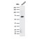 Biotium BNCB2356-100, Albumin (Transport Protein)(ALB/2356), Biotin conjugate, 0.1mg/mL