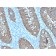 Ep-CAM / CD326 (Extracellular Domain) (Epithelial Marker)(EGP40/2571R), Biotin conjugate, 0.1mg/mL