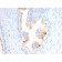 Biotium BNCB2580-100, CD10 (Membrane Metalloendopeptidase)(MME/2580), Biotin conjugate, 0.1mg/mL