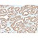 Ornithine Decarboxylase-1 (ODC-1)(ODC1/2878R), Biotin conjugate, 0.1mg/mL