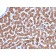 Cytochrome C (Mitochondrial Marker)(CYCS/3128R), Biotin conjugate, 0.1mg/mL