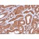 MTAP (Tumor Suppressor Marker)(MTAP/3137R), Biotin conjugate, 0.1mg/mL