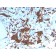 Glycophorin A / CD235a (Erythrocyte Marker)(GYPA/3219R), Biotin conjugate, 0.1mg/mL