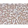 Prohibitin (Mitochondrial Marker)(PHB/3226), Biotin conjugate, 0.1mg/mL
