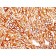 Cytokeratin 18 (KRT18) (DA7), 1mg/mL