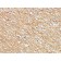 CD56 / NCAM(NCAM1/795), 0.2mg/mL