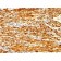 Calponin-1 (Smooth Muscle Marker) (CNN1/1408R), 0.2mg/mL