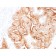 MUC16 / CA125 (Ovarian Carcinoma Marker)(MUC16/1860), 0.2mg/mL
