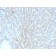 HSP60 (Heat Shock Protein 60) (Mitochondrial Marker) (rGROEL/780), 0.2mg/mL
