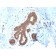Glutathione S-Transferase Mu2 (GSTM2)(CPTC-GSTMu2-2), 0.2mg/mL