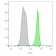 CD45 / LCA(135-4C5), 1mg/mL